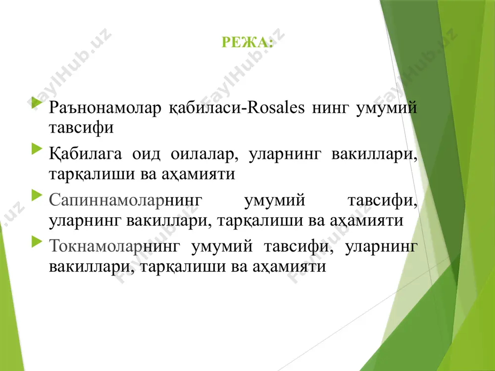 имон- наштарсимон ёки наштарсимон, асоси понасимон, учи учли, узунлиги 5-10 см, устки томни яшил, пастки томони кўкимтир, сийрак тукли. гуллари майда, шингил ёки қалқонсимон тўпгулда ўрнашган. гулўрни ясси. косачабарг, тожбарглари 5 та. чангчилари кўп, доира бўлиб ўрнашган, уруғчиси 5 та. меваси тўпмева. манзарали. 2 - оилача. итбурунлар-rosoideae оилача вакиллари ўт, чала бута ва бута ўсимликлар киради. барглари тоқ патсимон, ёнбаргчали. пояси кўпинча тиканли. гулўрни ботиқ. гулқўрғони қўшалоқ, доира бўлиб жойлашади. гуллари актиноморф, икки жинсли. чангчилари кўп. уруғчиси кўп ёки битта. оила. раънодошлар-rosaceae туркум. итбурун-rosa l. тур. итбурун-rosa canina l. бўйи 3 метрли бута. тикани кам, япроқлари қаттиқ, яшил, тухумсимон ёки чўзиқ-тухумсимон, икки томони туксиз ёки сийрак тукли, қирғоғи ўткир аррасимон тишчали. гуллари икки жинсли, рўваксимон тўпгулда ўрнашган. косачабарглари учбурчаксимон, икки томони наматсимон тукли. тожбарглари қизғиш ёки оқ. чангчиси, уруғчиси кўп. меваси қуруқ данак. оила. раънодошлар-rosaceae туркум. итбурун-rosa l. тур. итбурун-rosa canina l. аҳамияти: манзарали. тиббиётда наъматак мевасининг кукуни, дамламаси, суюқ …