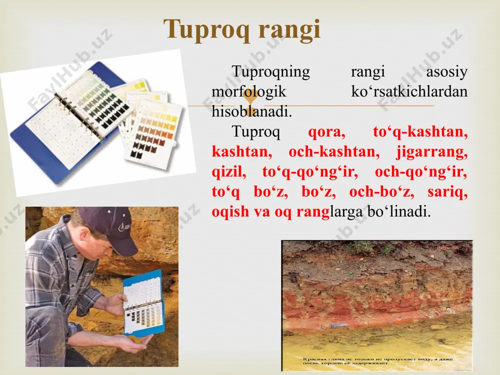 tuproqning morfologik belgilari va tuzilishi - Page 5