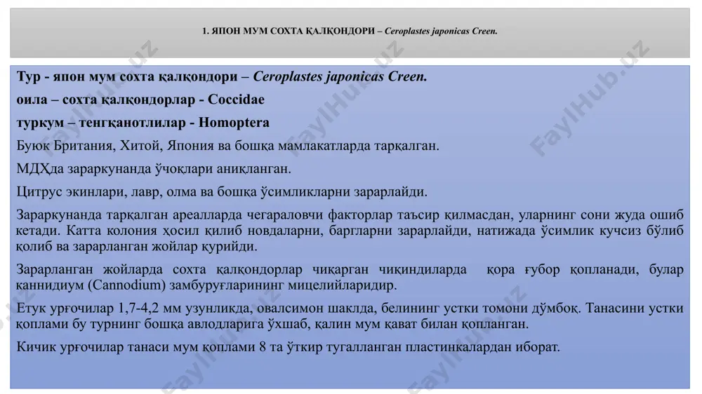 авлод беради. зараркунанда кўчатлар, қаламчалар ва бошқа ўсимлик органлари орқали тарқалади. япон мум сохта қалқондори 2. анжир сохта мум қалқондори – ceroplaster rusci l. тур - анжир сохта мум қалқондори – ceroplaster rusci l. оила – сохта қалқондорлар - coccidae туркум – тенгқанотлилар - homoptera бу қалқондор албания, греция, испания, италия, португалия, франция, югославия, исроил, иордания, ироқ, эрон, ливан, сурия, туркия, япония, жазоир, миср, марокаш, аргентина, австралия, янги зеландия ва бошқа давлатларда тарқалган. мдҳда рўйхатга олинмаган. анжир, узум, тут, мандарин, апельсин, беҳи, шафтоли ва бошқа ўсимликларни зарарлайди. тухуми қизил рангда, узунлиги 0,5-0,6мм. личинкалар оқ юлдузчаларни эслатади. япон сохта мум қалқондори личинкасидан бу зараркунанда личинкаси, мум қатлами ўрта пластинкасида 2 та кўндаланг изи билан фарқ қилади. анжир сохта мум қалқондорининг етук урғочилари қишлаб чиқади. италия ва сурияда 1 йилда 2 та авлод беради. урғочилар 1000-1500 та тухум қўяди. апрел ойининг охири ва май ойининг бошларида личинкалар чиқади, личинкалар ўсимликдан озиқланишни бошлагандан …