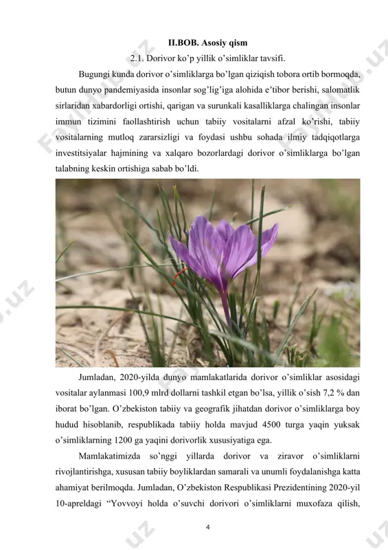 ularni muhofaza qilish, bioekologik xususiyatlarini o’rganish, xomashyo zahirasidan to’g’ri foydalanish va ko’paytirishning ilmiy asoslangan usullarini ishlab chiqish dolzarb muammolardan biridir. shuning uchun, o’zbekistonda farmatsevtika sanoatining ehtiyojlarini dorivor o’simliklar xomashyosi bilan taʼminlash, mahalliy florani yangi introdutsent o’simlik turlari bilan boyitish va ularni yetishtirish texnologiyalarini ishlab chiqishni taqozo etmoqda. xususan, 2020-yil boshida respublikaning barcha hududlarida jami 11,5 ming ga yer maydonida 27 turdagi dorivor o’simliklar plantatsiyalari mavjud bo’lgan bo’lsa, 2021-yil davomida dorivor o’simliklar plantatsiyalari 162 ta subyektlar tomonidan 15,8 ming ga yetkazilib, ichki va tashqi bozorlarda xaridorgir bo’lgan 45 turdagi dorivor va ziravor o’simliklarning 17,3 ming tonna xomashyosi yetishtirildi. dorivor o’simliklar madaniy plantatsiyalarining kengayib borishi va ishlab chiqarish hajmlarining ortishi bilan birgalikda sohaning eksport salohiyati kuchaytirilmoqda. 2020-yil yakunida 29 ta xorijiy davlatga 16,0 ming tonnadan ortiq 50,0 mln aqsh dollari qiymatidagi dorivor o’simliklar xomashyosi va qayta ishlangan mahsulotlari eksport qilingan bo’lsa, 2021-yil yakuni bilan bu ko’rsatkichda o’sish kuzatilib, dunyoning 37 ta davlatlariga …