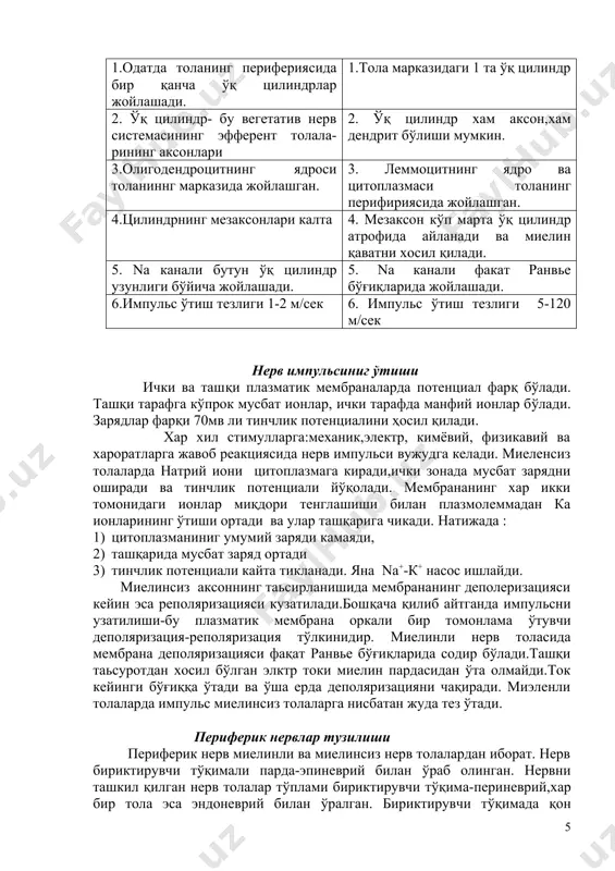 яқинлашади ва қўшни шванн ҳужайраси билан бармоқсимон битишма ҳосил қилади. шванн пардаси атрофидаги базал мембрана бу ерда узилмайди. миелин пардасининг ҳосил бўлиши. шванн ҳужайралари аксонни ўраб олади, сўнгра ўсимтанинг ўқ цилиндр атрофида айланади. плазматик мембраналарнинг 2 учлари яқинлашиб, икки мембранали структура-мезаксонни ҳосил қилади. дастлаб бу икки ҳалқа орасида цитоплазма бўлади, кейинчалик у ҳужайра танасига ботиб кириш натижасида перефирик қисмга ўтиб қолади. шу тарзда миелин леммоцитнинг плазматик мембранасидан шаклланади ва у асосан липид қаватидан иборат бўлади. периферик қаватларларда миелин пардасидаги бўғиқлар орасида шмидт- лантерман кертиклари кўринади. бу кертиклар миелин қаватдаги оқсил ва липидларнинг ўзаро маълум бир тартибда жойлашишидан ҳосил бўлади. шванн ҳужайралар ўқ цилиндр атрофида ўралаётганда озгина цитоплазма липид орасида қолиб кетади ва бўялмайди. препаратда кертик кўринишда кузатилади. миелин парда липид қават хисобига осмий кислотаси билан бўялганда қора рангга киради. ўқ цилиндрнинг бўйлама кесимида нейрофиламентлар ва нейронайчалар,митохондрялар кўринади, миелиннинг ташқи томонидан шванн ҳужайраларнинг цитоплазмаси ётади. миелинсиз нерв толалари миелинсиз нерв толаси …