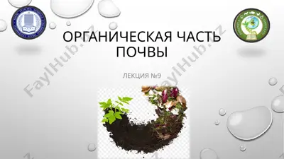 органическая часть почвы — PPTX