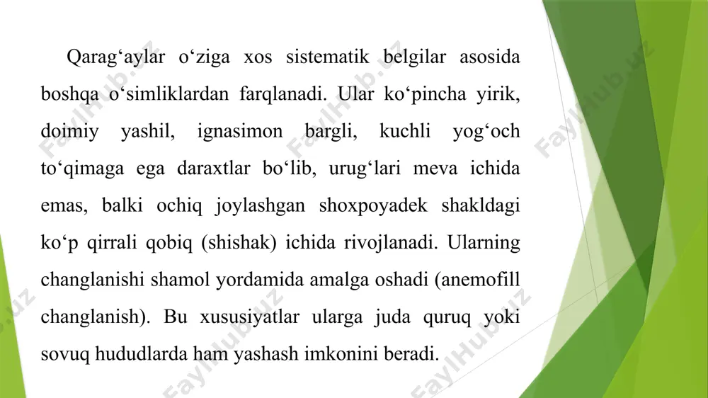 bo‘yi 35–40 metrga yetadi. barglari juft, ignasimon, 4–6 yil yashaydi. tanasining po‘stlog‘i yuqoriga qarab och tusga kiradi. yog‘ochi zich, smolasi ko‘p, qurilishda va dorivor mahsulotlarda ishlatiladi. /docprops/thumbnail.jpeg