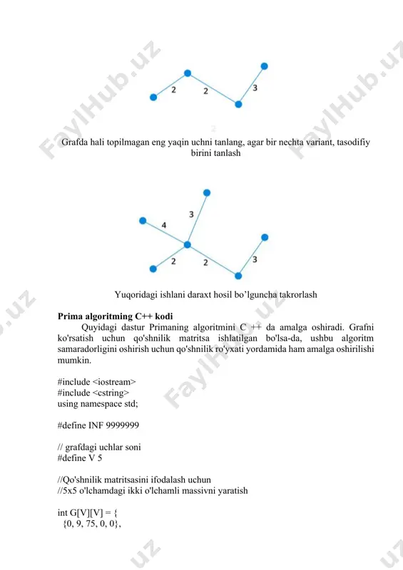 graflarda eng kichik uzunlikdagi daraxtlarni qurish algoritmlari - Page 5