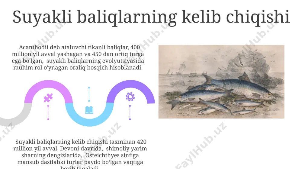 suyakli baliqlarning kelib chiqishi evolyutsiyasi va sistematikasi - Page 5