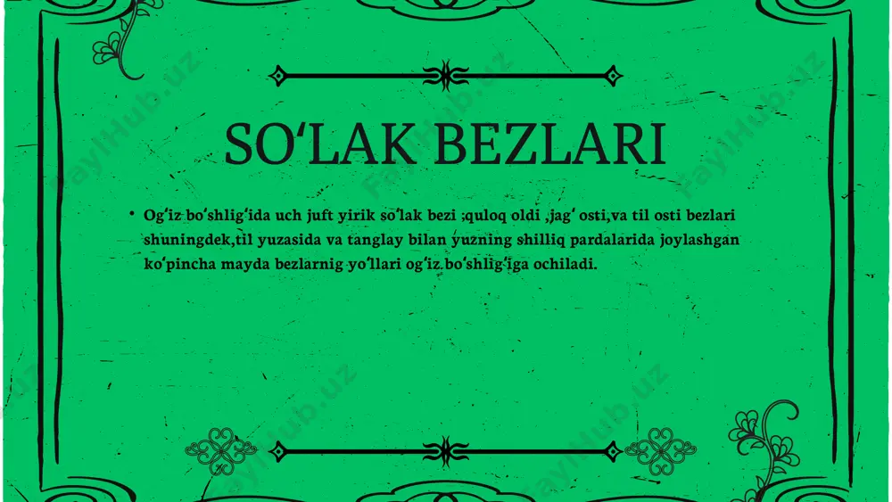 ovqat xazm qilish - Page 5