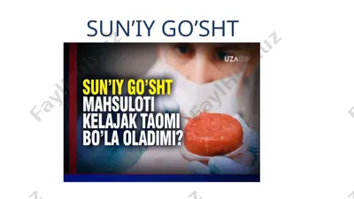 sun’iy go’sht — PPTX
