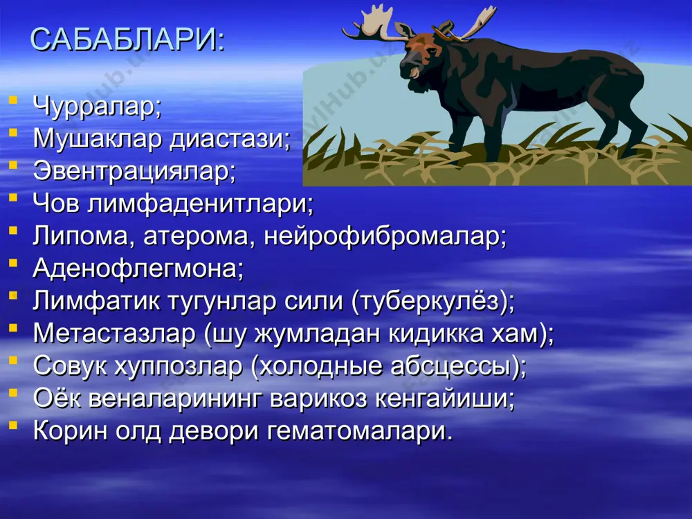 ёшдан катта эркакларда кузатилади, аёлларда кам учрайди аёлларда купрок учрайди эркакларга нисбатан чурра жойлашуви чов бойлами уртасида (ички чов халкаси сохасида) чов бойлами устида (ташки чов халкаси сохасида) чов бойлами пастида (купчилик холатларда сон чуррасини лимфатик тугундан фарклаш кийин булади чурранинг йуналиши куп холларда ёргокга тушади кам холларда ёргокга тушади хеч вакт ёргокга тушмайди киёсий таккослаш ёргок ёки уруг тизимчасининг истискоси билан; ёргок ёки уруг тизимчасининг усмалари билан; варикоцеле билан; чов лимфаденити билан; окма (натечный абсцесс) хуппоз билан; узга аъзолар усмаларининг метастазлари билан (айникса киндикка); липоматоз билан; урахус билан; лимфогранулематоз билан; варикоз кенгайган веналар билан. киёсий таккослаш киёсий таккослаш киёсий таккослаш киёсий таккослаш урахус урахус ёргок истискоси совук хуппоз (натечник) аденофлегмона лимфаденит липоматоз липоматоз чурра сабаблари чурра сабаблари чурра сабаблари кам учрайдиган чурра турлари ёпкич чурраси; юкори ва пастки думба чурраси; утиргич чурраси; оралик чурраси; бел чурраси: 1) пастки (петит учбурчаги); 2) юкори (грюнфельд туртбурчаги); ички чурралар: winslov тешиги чурраси; …