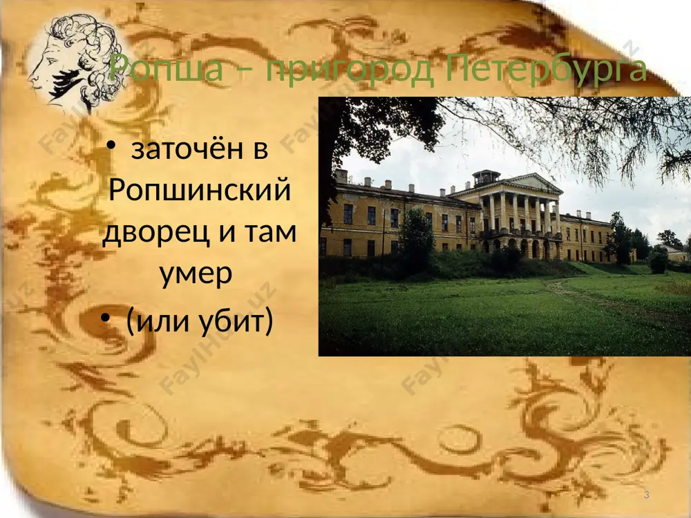 а.с. пушкин. капитанская дочка. 9 - sinf - Page 3