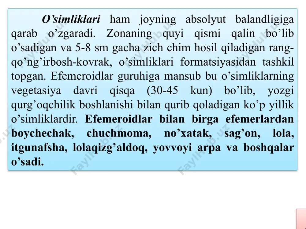 ri jumlasiga kiradi. bo’z tuproqlar bilan bir qatorda, bu yerda, sizot suvlari ancha yuqori joylashgan sharoitda shakllanadigan o’tloq-bo’z tuproqlar tipi va shuningdek sug’oriladigan bo’z (madaniy voha) tuproqlarning bir necha tip va tipchalari ajratiladi. ana shu tuproq tiplaridan tashqari zonada gidromorf tuproqlardan: sho’rxoklar, o’tloq tuproqlar, o’tloq-botqoq va botqoq tuproqlar hamda ular bilan birga uchraydigan turli tuproqlar tarqalgan. och tusli bo’z tuproqlar kam gumusli (chirindili) goriznot (a+b) ning qalinligi 40-50 sm dan oshmaydi. a- gorizonti 6-12 sm bo’lib, och-bo’zg’ish tusli, qo’riq yerda chimlangan, b1 gorizonti biroz malla tusli, bo’zg’ish, bu gorizont ancha zichlangan va rangi och, karbonatlarning oq ko’zanakli dog’lari bo’lgan bk gorizonti bilan almashinadi. 1 m chuqurlikka qadar tuproqda nam to’planishi mumkin. tuproqning 150-180 sm chuqurligida gips va suvda oson eruvchan tuzlar uchraydi. to’q tusli bo’z tuproqlar zonaning eng yuqori mintaqasini tashkil etib, baland tog’ qiyaliklari va past tog’larda daryo vodiylarining tog’ oraliqlaridagi tekisliklarida dengiz sathidan 700-1000 m dan 1400-1600 m …