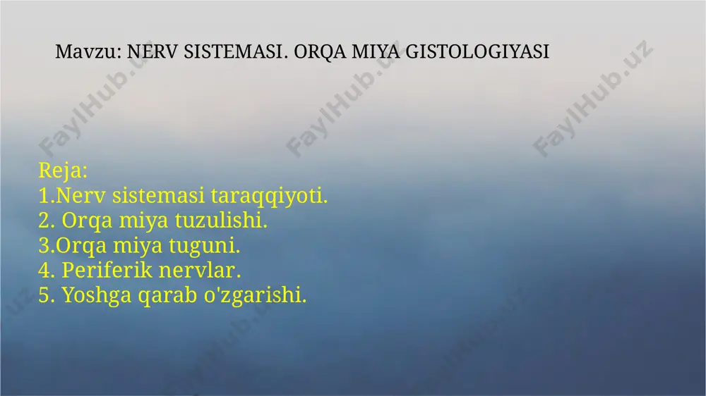 qa va yon shoxlar o'rtasida kulrang modda tasmalar hosil qilib oq moddaga botib kirishi natijasida uning to'rsimon tuzilma nomini olgan, toʻrga o'xshash yumshoq qismi hosil bo'ladi. g'ovak zona va jelatinsimon modda hamda oraliq hujayralar umumiy reflektor yoyini tutashtirib turadi . ya'ni sezuvchi va harakatlantiruvchi neyronlar orasidagi aloqani taimlaydi. orqa miya oldi shoxlardagi motoneyronlar ham 3 guruhga bo'linadi. 1. yirik alfa-motoneyronlar. skelet muskullarini keskin qisqarishini ta'minlaydi. 2. mayda alfa-motoneyronlar. bevosita bosh miya nazorati ostida bo'ladi. mushaklar tonusini ta'minlaydi 3. gamma-motoneyronlar. intrafuzal mushak tolalarining efferent innervatsiyasini ta'minlaydi. mushak tolasi sekin qisqarishini ifodalaydi. chaqaloqlarda orqa miya nerv tizi mining boshqa qismlariga nisbatan yaxshi rivojlangan. tug'ilishiga yaqin orqa miya kanali erkin yuzasi kiprik tutuvchi ependimotsitlar bilan qoplanadi. bu kipriklar 5 yoshga kelganda yo'qoladi. makro va mikrogliyalar shakllanishi 6 oylikda tugaydi. chaqaloqlarda orqa miyaning hamma yadrolari mavjud bo'lib, neyrotsitlari mayda, ular pigment tutmaydi. chaqaloqlar nerv tolalarining mielinlanishi kattalarga qaraganda ancha sust bo'ladi. mielinizatsiya jarayoni 2-3 …