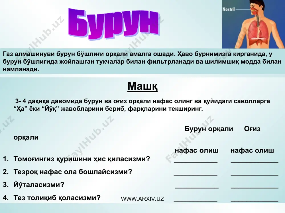 одам нафас олиш тизими - Page 5