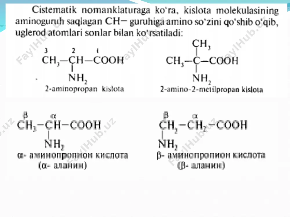 uzi ortiqcha miqdorda olinsa hosil bo’ladigan ko’k rangli mis-(ii)-gidroksid binafsha rangni niqoblab, ko’rinishiga xalal beradi. 3. oltingugurt saqlovchi -aminokislotalarga sifat reaksiyasi. tarkibida oltingugurt saqlagan -aminokislotalar sistein, sistin, metionin bor oqsillar eritmasini ortiqcha natriy gidroksidi eritmasi bilan qaynatilib, so’ngra unga bir necha tomchi qo’rg’oshin atsetat eritmasi qo’shilsa eritma qo’ng’ir-qora rangli bo’ladi yoki qora cho’kma hosil bo’ladi. bunda oqsil tarkibidagi bo’sh bog’langan oltingugurt ishqor ta’sirida o’ziladi va natriy sulfid hosil qiladi. natriy sulfid qo’rg’oshin atsetat bilan reaksiyaga kirishab, qo’rg’oshin sulfidning qora cho’kmasi hosil qiladi: 4. erlix reaksiyasi. triptofanni aniqlash uchun uning eritmasiga sulfat kislota ishtirokida para-dimetilaminobenzaldegid kushiladi. bunda eritma kizil-binafsha rangga buyaladi. boshqa  - aminokislotalar bu reaksiyani bermaydi. bu reaksiyadan foydalanib, oksilning parchalanish mahsulotlarida triptofan miqdori aniklanadi. 5. milon reaksiyasi. oqsillarga simob nitratning nitrat kislotadagi eritmasi bilan ta’sir etilganda qizil rang hosil bo’ladi. bu reaksiya tuzilishida fenol qoldig’i tutgan (tirozin bo’lgan) oqsillar uchun xosdir. polipeptidlar va oqsillarning sintezi haqida tushuncha oqsillarni …