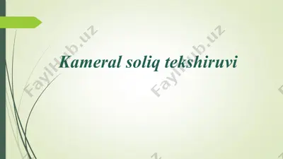 kameral soliq tekshiruvi — PPTX
