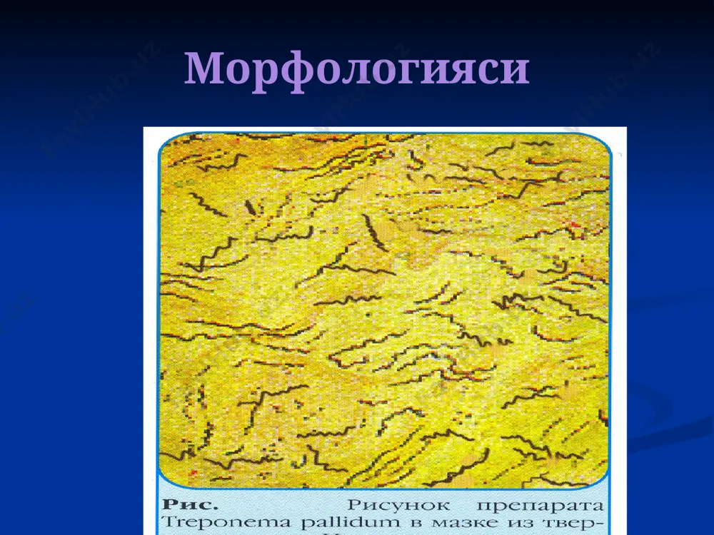тери-таносил касаллик қузгатувчилари - Page 5