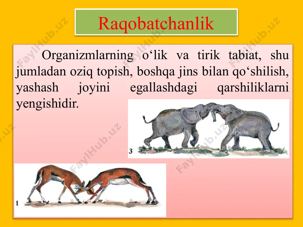 g‘un holda saqlanishiga qaratilgan. organizmlar shaxsiy hayotining turli bosqichlarida atrof-muhitdagi tuz, namlik, haroratning o‘zgarishlariga nisbatan o‘z turg‘unligini saqlaydi. masalan, o‘simliklar qishki tinim davridan normal o‘tishi uchun ular hujayrasida suv miqdori kamayib, erigan moddalar konsentratsiyasi ortadi. uzoq vaqt suv ostida bo‘ladigan tulenlar qonida kislorodni bog‘lab olishda gemoglobindan tashqari mioglobin nisbatan ko‘proq ishtirok etadi. sahro hayvonlari tanasida ko‘plab yog‘ moddalarining to‘planishi fiziologik moslanishga misol bo‘ladi. tulen kemiruvchi sutemizuvchilar: 1 — uy sichqoni; 2 — ko'k sug'ur; 3 — sariq yumronqoziq; 4 — tolay tovushqoni; 5 — kulrang kalamush; 6 — ondatra etologik moslanishlar. bu moslanish turi hayvonlarning xattiharakatlarida namoyon bo‘ladi. o‘ziga xos harakatlar orqali hayvonlar dushmanlaridan himoyalanadi, oziqa topadi va zaxiralaydi, yil mavsumlariga moslashadi, juft tanlaydi va ko‘payadi, naslini himoya qiladi. hayvonlar dushmandan saqlanish uchun yashirinadi yoki qo‘rqituvchi xatti-harakatlarni amalga oshiradi. nasl uchun g‘amxo‘rlik qilish turning yashab qolishida katta ahamiyatga ega. amerika som balig‘i chavog‘lar rivojlanguncha tuxumlarni qorin tomonga yopishtirgan holda yuradi. …