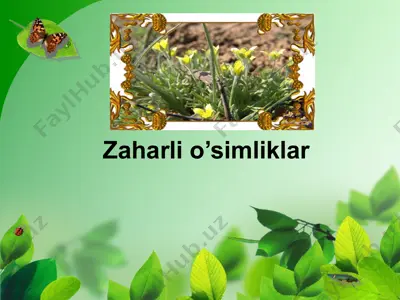 zaharli o’simliklar: uchma va kampirchopon — PPT