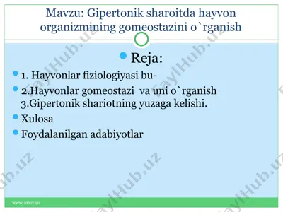 gipertonik sharoitda hayvon organizmining gomeostazini o`rganish — ZIP