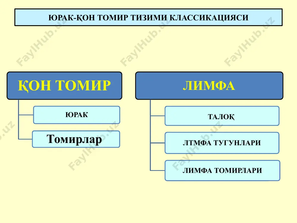 и (гемодинамика) 69 юрак мушаклари хусусиятлари 1) қўзғалувчанлик 2) ўтказувчанлик 3) қисқарувчанлик 4) автономлик 5) рефрактерлик 70 юрак цикли фазалари 1. бўлмачалар систоласи – 0,1'' 2. қоринчалар систоласи – 0,3'': а) таранглашиш фазаси – 0,05'' б) қон ҳайдаш фазаси – 0,25'' 3. умумий фаза (диастола) – 0,4'' 71 юрак фаолияти цикллари 72 юракда қон ҳаракати (гемодинамика) 73 электрокардиография 74 электрокардиогра́фия — метод регистрации и исследования электрических полей, образующихся при работе сердца. электрокардиография представляет собой относительно недорогой, но ценный метод электрофизиологической инструментальной диагностики в кардиологии. 75 электрокардиография 76 экг – стандарт уланишда электродлар ҳолати 77 экг – стандарт уланишда элактродлар ҳолати 78 экг – кўкрак уланишларда электродлар ҳолати 79 экг – кўкрак уланишлари (v1, v2, v3, v4, v5, v6) 80 электрокардиография 81 электрокардиография 82 электрокардиограмма (экг) 83 электрокардиограмма 1 – бўлмачалар қўзғалиши; 2 – қоринчалар қўзғалиши 84 электрокардиограмма 85 86 электрокардиограмма 87 экг (деполяризация ва реполяризация) 88 экг (поляризация → деполяризация) …