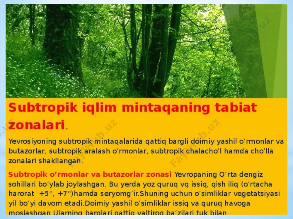 subtropik mintaqaning tabiat zonalari - Page 3