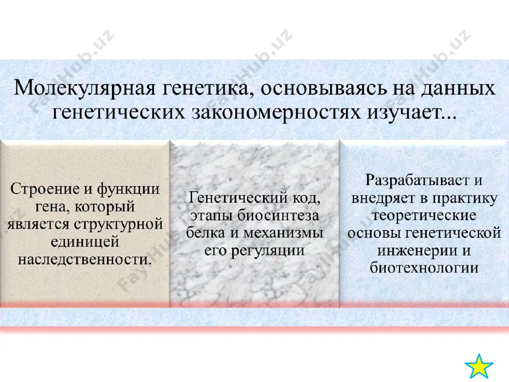 д онтогенеза 1. хроногены 2. гены пространственной организации * свойства генов: 1. способность контролировать определенные ферментативные реакции. 2. свойство к мутированию. 3. способность рекомбинировать. 4. дискретность гена – наличие внутри гена более мелких дифференцированных структур. 5. плейотропность – множественное действие гена, когда один ген отвечает за несколько признаков. 6. дозированность гена – зависимость результата (количество белка, рнк, активность фермента) от дозы гена. 7. пенетрантность – количественный показатель действия генов: частота фенотипического проявления гена в популяции (в процентах!). 8. экспрессивность гена – свойство характеризует степень выраженности признака. 9. проявление действия гена зависит от факторов внешней среды. * митохондриальная наследственность. митохондриальные гены кодируют 2 группы признаков, связанных: с работой дыхательной системы; с устойчивостью к антибиотикам. в митохондриях дрожжевых клеток обнаружены гены дыхательных ферментов. эти гены находятся в плазмидах. у бактерий выделяют 3 типа плазмид: содержащие половой фактор f; 2) фактор r; 3) фактор col — колициногенный. бактерии с фактором f являются мужскими. …