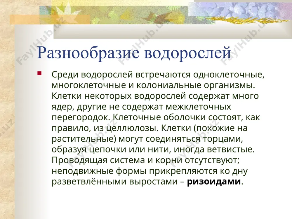 vodorosli - Page 3