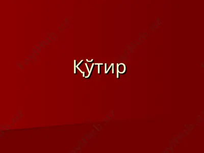қўтир — PPT