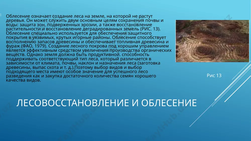 растений из саженцев. основным преимуществом прямого посева является снижение затрат. однако это обычно гораздо менее надежен и оправдан только в том случае, если: семян много и они дешевыt; можно рассчитывать на адекватную всхожесть в полевых условиях; саженцы быстро пускают глубокий стержневой корень и способны противостоять неблагоприятным климатические условиям в период после прорастания; скорость роста достаточно высока, чтобы сделать длительный период ухода и прополки ненужным восстановление естественной растительности восстановление естественных пастбищ и лесных массивов увеличивает производство биомассы и улучшает видовое разнообразие растений, что приводит к более разнообразной почвенной биоте и другим сопутствующие полезные организмы. естественное возобновление может быть более надежным там, где земля не очень продуктивна. в некоторых случаях естественная регенерация данной территории может привести к засорение участков сорняками. все чаще признается естественная растительность за ее многоцелевые преимущества, например, топливная древесина, волокно, или лекарственных растении восстановление плодородия почвы (путем высадки акации белой и бобовых) в местах обитания различных полезных видов опылителей …