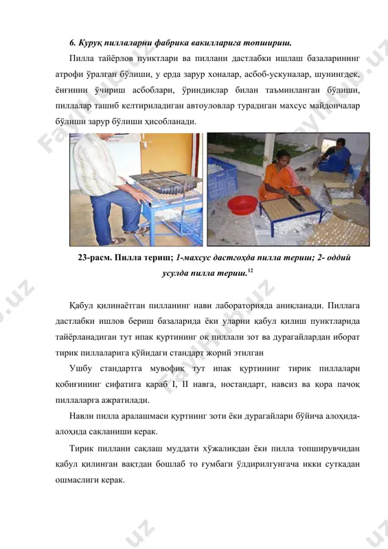 в бериш базасининг ишлаб чиқариш қисмига ўтказилади. у пиллаларга ишлов бериш базаси майдонининг асосий қисмини эгаллайди. унда қуритиладиган ёки қуритилган пиллаларни сақлаш учун айвонлар, ўт ўчириш ҳовузи ва ўт ўчиришда фойдаланадиган асбоблар илиб қўйиладиган махсус ёнғинга қарши фойдаланадиган ускуналар тахтаси, ёнилғи, мойлаш материаллари омборхонаси, пиллахонанинг материаллар омбори, устахона, гараж ва қорапачоқ пиллаларни сақлайдиган майдонча, шунингдек ҳовлидаги бошқа ишлаб чиқариш қурилишлари ва бинолари жойлашади. пиллаларга дастлабки ишлов бериш базаси бир вақтнинг ўзида бош пиллахона ҳисобланади ва унда қабул пунктининг майдончасида бош пиллахонанинг бинолари ҳам жойлашади. бу ерда пиллаларга дастлабки ишлов бериш амалга оширилиб. қуритиш техникасидан у ёки бу усулда фойдаланиш, шунингдек ҳажмига, тайёрлаш мавсумининг чўзилишига ва уларнинг қувватига боғлиқ бўлиб, уч хил тартибда қўлланади: 1. пиллалар ғумбагини ўлдириб, қисман қуритиш; 2. пиллалар ғумбагини ўлдириб, ярим қуритиш; 3. пиллалар ғумбагини ўлдириб, тўла қуритиш. қабул қилинган пиллаларни сақлайдиган айвон бир кун давомида қабул қилинган тирик пиллаларни сақлаш учун хизмат қилади. навли ва навсиз …