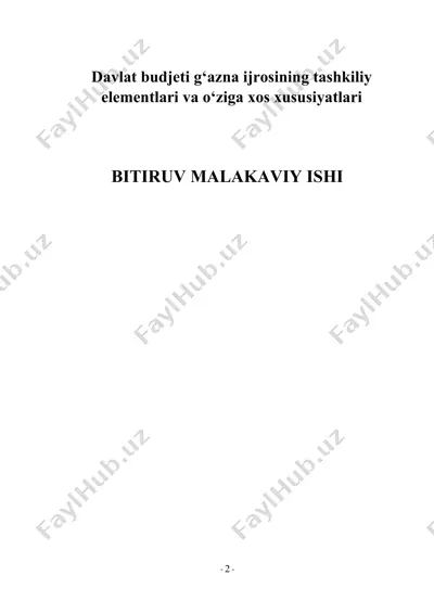 davlat budjeti g‘azna ijrosining tashkiliy elementlari va o‘ziga xos xususiyatlari — DOCX