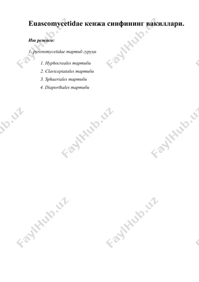 euascomycetidae кенжа синфининг вакиллари. — DOC