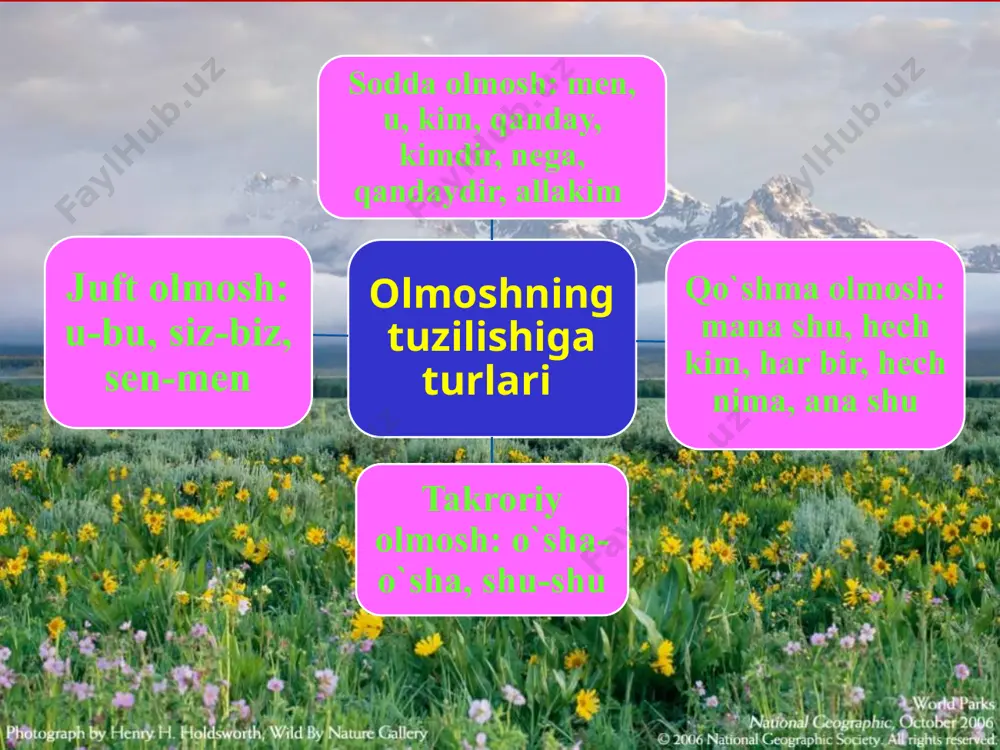 olmoshlar - Page 4