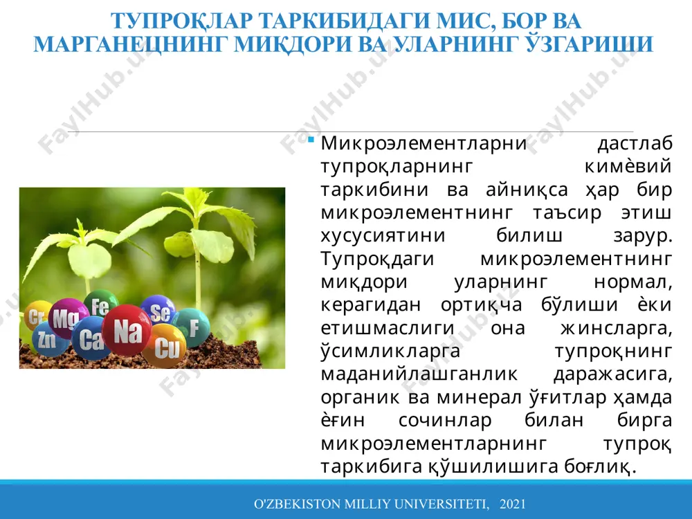 р учрайди. агар ноқоратупроқ зонада 1 кг тупроқдаги борнинг миқдори 0,2-0,5 мг дан кўп бўлса, борли микроўғитлар солиш тавсия этилмайди. аммо бу кўрсаткич қора тупроқлар учун 0,3-0,65 ни, ўрта осиѐнинг бўз тупроқлари учун 0,45-2,0 мг/кг ни ташкил этади. o'zbekiston milliy universiteti, 2021 тупроқлар таркибидаги мис, бор ва марганецнинг миқдори ва уларнинг ўзгариши бори кам бўлган бу хил тупроқларда уни ўғит сифатида солиш ҳар гектар ер ҳисобига зиғир толасини 2-3 ц, қанд лавлагисини 45 ц га ошириб, бир йўла кейинги экиннинг илдиз мевасидаги шакарнинг миқдорини ҳам 0,32,1% га ошишига сабабчи бўлади. борли ўғитлар қўллаш натижасида зиғир ва пахтадан гектарига қўшимча 2-3 ц ҳосил олиш мумкин. тупроқ таркибида бўр миқдори 30 мг/кг дан ошиб кетса, ўсимликларда заҳарланиш аломатлари пайдо бўлади: поянинг пастки қисмидаги барглар сарғаяди, куяди, тўкилади. борнинг сероблиги чорва моллари саломатлигига ҳам салбий таъсир кўрсатади. мис (сu) миснинг умумий миқдори ҳар хил тупроқларда анча кенг чегараларда ўзгариб туради ва бир кг …