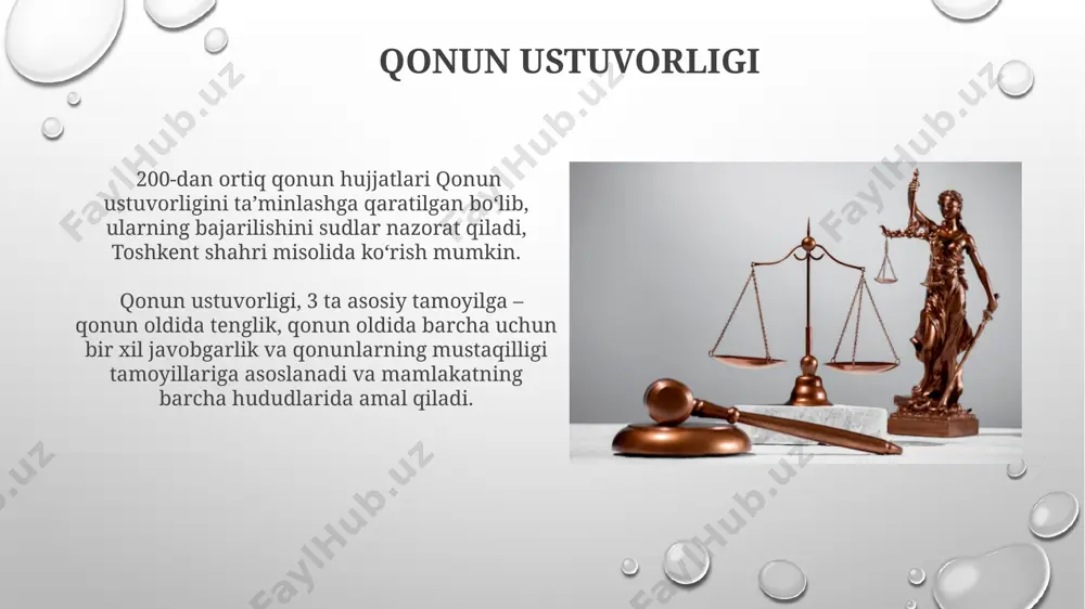 konstitutsiya va qonunning ustunligi - Page 5
