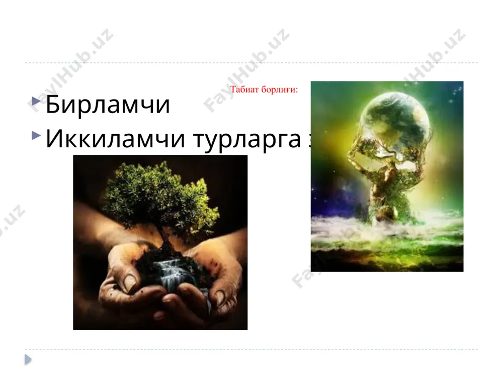 борлиқ фалсафанинг фундаментал категорияси - Page 5