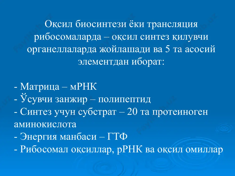 аён бўлиб, унинг 1 цикли 3 босқичда кечади: 1. мрнк кодонига аминоацил т-рнкни бирикиши, бунда аминокислота рибосоманинг а-марказига бирикади. энергия манбаи – гтф. 2. пептидилтрансфераза ферменти метионил-трнк (п-марказдаги) дан метионинни а-марказдаги иккинчи аминоацил т-рнк га ўтказади ва улар ўртасида пептид боғ хосил бўлади. энергия манбаи – аминокислота ва т-рнкдаги макроэргик боғи хисобланади. 3. транслоказа мрнкни кейинги кодонга силжитади. энергия манбаи – гтф. мрнк билан бирга унга бириккан трнк хам сурилади, 1 чи рнк эса рибосомадан чиқиб кетади, 2чи трнк эса п-марказга сурилади циклни иккинчи қайтарилиши – мрнк учинчи кодонига 3чи аминоацил трнкни бирикиши, 3-аминокислота а-марказга жойлашади. сўнг трансфераза реакцияси қайтарилади ва трипептид хосил бўлади ва у а-марказда жойлашади, сўнг у п-марказга ўтказилади терминация оқсил биосинтези мрнк терминация кодонлари – уаа, уаг, уга стоп-кодонларга етиб боргунча давом этади. бу триплетлар хеч бир аминокислотани кодламайди, шу сабабли улар нонсенс-кодонлар дейилади. бу кодонларни рибосома ичига кириб бориши билан терминация оқсил омиллари фаоллашади: терминация …
