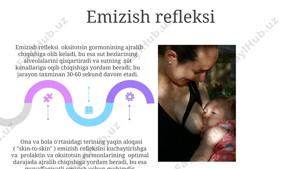 ko’krak bezi anatomiyasi. ko’krak bilan emizish mexanizmi - Page 5