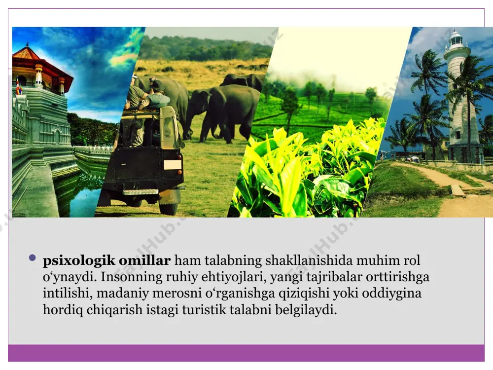turizmda ovqatlanish korxonalari - Page 4