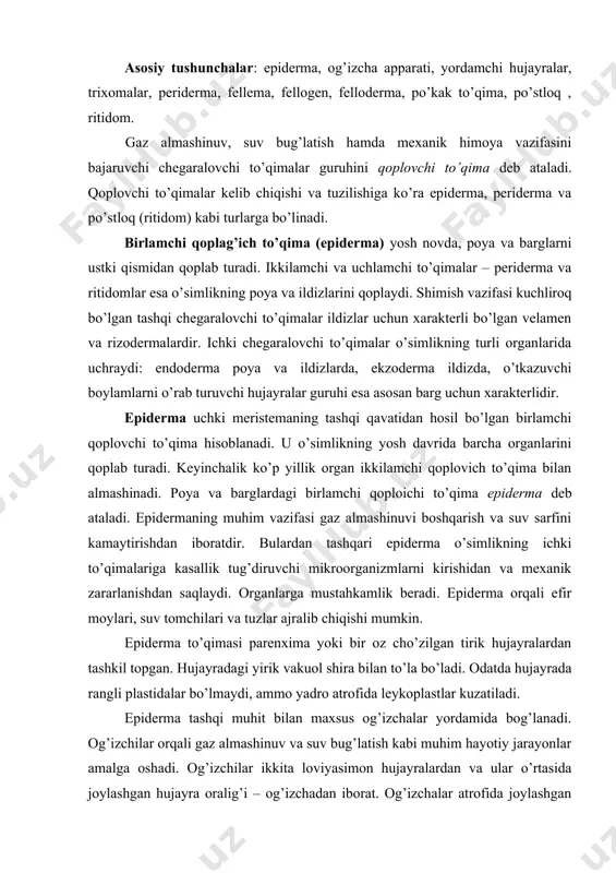 fida leykoplastlar kuzatiladi. epiderma tashqi muhit bilan maxsus og’izchalar yordamida bog’lanadi. og’izchilar orqali gaz almashinuv va suv bug’latish kabi muhim hayotiy jarayonlar amalga oshadi. og’izchilar ikkita loviyasimon hujayralardan va ular o’rtasida joylashgan hujayra oralig’i – og’izchadan iborat. og’izchalar atrofida joylashgan epiderma hujayralari ko’pincha boshqa hujayralardan farq qiladi va ularni og’izchaning yordamchi hujayralari deyiladi. loviyasimon hujayra bilan birga yordamchi hujayralar murakkab og’izcha apparatini hosil qiladi. og’izchaning ustki va ostki tomonlarida oldingi va keyingi dahlizlar hamda og’izcha tagida havo bo’shlig’i joylashgan. og’izchalarning ochilib va yopilib turishi ichki va tashqi omillarga bog’liq. tashqi omillardan biri o’simlikni suv bilan ta’minlanganlagiga qarab og’izchalarning ochilishi va yopilishi kuzatiladi, shu bilan o’simlik bug’lantiradigan suv miqdori boshqarib turiladi. loviyasimon hujayralarning harakati turgor va plazmoliz hodisalariga ham asoslangan. 8-rasm. turli o’simliklar epidermasi: a-xlorofitum; b- ikki pallaliklar vakili plyush; v- geran; g – oq tut; 1 – tutashuvchi hujayralar; 2- barg og’izchalari; 3- xavo yo’li tirqishi. 9- rasm. turli o’simliklar …