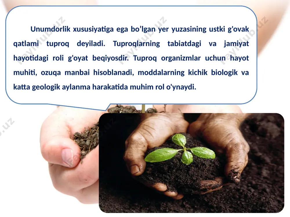 tchan qumlarning yo'lini to'sish yashil qalqonlar bunyod qilish tuproqlarni saqlab qoladi tuproq qatlamining turli yo'llar bilan nest-nobud qilinishi muammosi ham mavjud shahar va yo'l qurilishi natijasida unumdor tuproqlar nobud qilinadi yer osti boyliklarini qazib olishda ham ko’plab tuproqlar nobud bo’ladi. bunday jarayonlarni oldini olishning maxsus tadbirlari mavjuddir. o’zbekiston qishloq xo'jalik ishlab chiqarishida yer resurslariiing 95 foizi va suv resursarining 85 foizi ishlatiladi. sug'oriladigan yerlar umumiy yer fondining 15 foyizini tashkil qiladi. o`zbekistonda mavjud sug'oriladigan yerlarning 50 foizdan ortig'i sho'rlangan. ayniqsa qoraqalpog'iston respublikasi buxoro va sirdaryo viloyatlari tuproqlari kuchli sho'rlangan. tuproqlarda chirindi miqdori 30-50 foizgacha kamaygan. 2 mln.gektardan ortiq yerlar eroziyaga uchragan bunday yerlar farg'ona, surxondaryo, qashqadaryo viloyatlarida keng tarqalgan. tuproqlarning pestisidlar bilan ifloslanish darajasi yuqori bunday vaziyatning asosiy sabablaridan biri, uzoq vaqt davomida paxta monokulturasi hukumronligidir oxirgi yillarda paxta maydonlarining kamayishi, almashlab ekishning kengroq joriy qilinishi, mineral o'gitlarni ishlatilishining me'yorlashtirilishi va boshqa tadbirlar tuproqlar holatining yaxshilanishiga olib kelmoqda. respublikada yer …