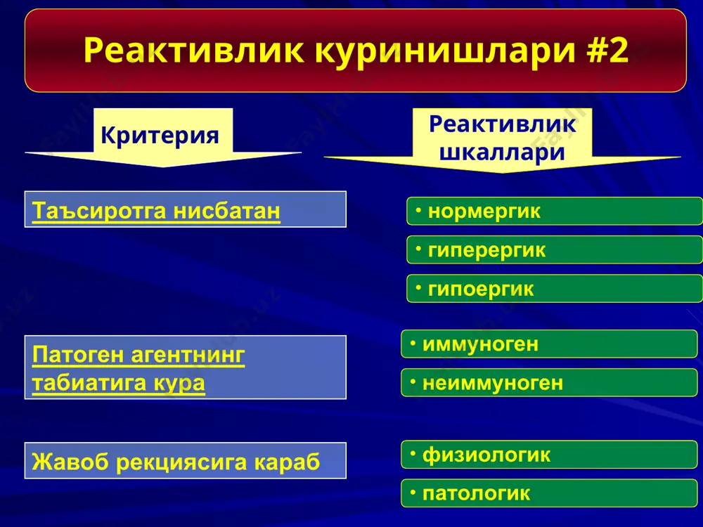 осовместимости ii ige антитела фиксация антител на тучной клетке b лимфоцит il-4 * * …вызывает зуд и гиперемию в течение нескольких минут 6. далее в процесс во-влекаются эозинофи-лы, нейтрофилы, моно-циты, которые, в свою очередь, продуцируют медиаторы поздней фазы, способствующие дальнейшему повреж-дению окружающих тканей (через 4-6 ч после попадания аллергена в нос, легкие, глаза…) . il-1 il-4 tnf-α icam-1 paf tриптаза гепарин гистамин 5. происходит дегрануляция тучной клетки и высвобождение медиаторов воспаления… 2. патохимик боскич * * конъюнктива аллергические конъюнктивиты семиз хужайраларнинг тукимада таксимланиши 100 80 60 40 20 0 20 40 60 80 100 легкие – эпителий бронхов слизистая носа - эпителий тктриптаза тктриптаза, хемаза кожа, атопический дерматит легкие - альвеолы слизистая тонкого кишечника * * семиз хужайралардан ажраладиган медиаторлар характеристикаси (бирламчи аллергия медиаторлари) медиаторлар кимевий таркиби эффектлари гистамин амин, метаболит гистидина томирлар утказувчанлигини ошириш ва кенгайтириш, силлик мушаклар спазми, шиллик секрециясини кучайтириш, нерв охирларини таъсирлаш (кичишиш) гепарин пептидогликан томирлар …