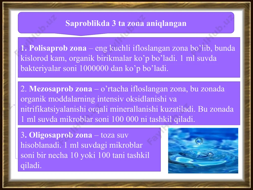 mikroorganizmlar ekologiyasi inson tana normal mikroflorasi - Page 4