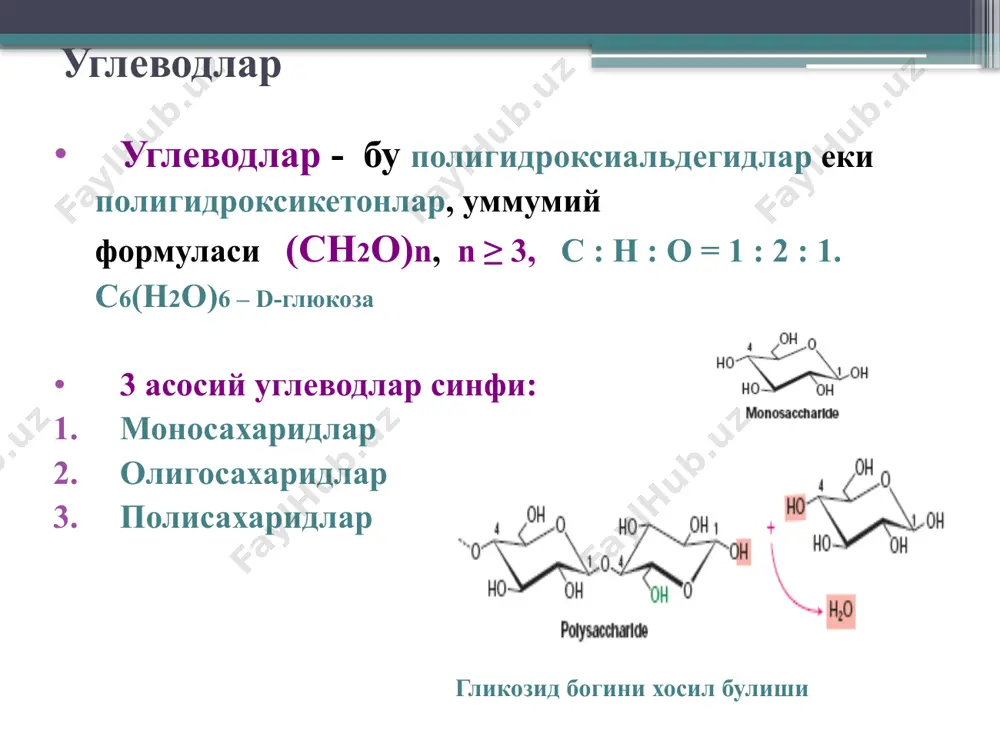 ек молекул d-глюкозы (до 1000 звеньев), соединенных между собой β (1→4) гликозидными связями. эти вытянутые цепочки соединяются водородными связями, образуя прочные, не растворимые в воде волокна. связи β (1→4) расщепляются ферментом целлюлазой (микроорганизмы, простейшие, грибы) древесный гриб структура целлюлозы хитин хитин – структурный полисахарид, основной компонент покровов тела насекомых. хитин построен из цепей, содержащих n-ацетил-d-глюкозамин (связи β (1→4) ). цепи формируют слоистую структуру, подобную целлюлозе, но межцепочечные связи более прочные. полисахаридные цепи перемежаются слоями белка и образуется очень твердая оболочка. элемент цепочки хитина углеводларни биологик функциялари энергетик ва углерод атоми манбаи (фотосинтез со2 + н2о → (сн2о)n ) структур ва таянч элементи клеток ўсимлик, хайвон ва микроорганизмлар учун (целлюлоза, хитин, пептидогликанлар). бириктирувчи тўқима компонентлари (протеогликанлар тоғай, пай, тери ва синовиал суюқлиғи). хужайраларни биологик спецификлигини таъминлайди (мембрана гликопротеинлари) организмда углеводлари вазифалари моносахаридлар: энергетик функция (атф хосил бўлиши). пластик функция (ди-, олиго-, полисахаридлар, аминокислота, липид, нуклеотид синтези учун манба). детоксикацион функция (глюкозани …
