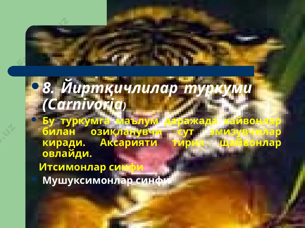 сут эмизувчилар ҳақида маълумотлар тўплами - Page 5