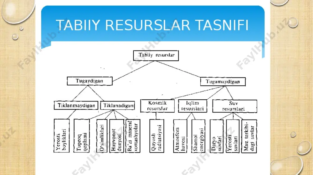 markaziy osiyoning tabiiy sharoiti va tabiiy resurslari - Page 3