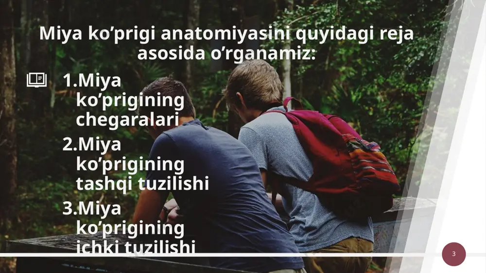 iy tuzilmalari miyachaning tashqi tuzilishi (tarkibiy qismlari va bo;laklari) miyachaning ichki tuzilishi (po’stlog’i ,yadrolari va o’tkazuv yo’llari) 16 miyachaning tarixiy tuzilmalari miyacha dastlab to’garak og’izlilarda ko’ndalang plastinka shaklida yuzaga kelgan. baliqlardan boshlab bu tuzilmadan juft quloqsimon o’simtalar (archicerebellum) va toq tana (paleocerebellum – hozirgi miyachaning chuvalchangsimon o’simtasiga to’g’ri keladi) paydo bo’lgan. sudralib yuruvchilar va qushlarda toq tana juda yaxshi taraqqiy etgan va juft quloqsimon o’simtalar rudimentga aylangan. sutemizuvchilarga kelib esa miyacha yarimsharlarga ega bo’lgan. (neocerebellum) odamlarda miyachaning rivojlaganlik darajasi eng yuqori ko’rsatkichga ega. odamning tik yurishga o’tishi, qo’llarining turli nozik harakatlari sabab miyacha yarimsharlari po’stlog’ida juda ko’p egat va pushtalar hosil bo’lgan. ‹#› archicerebellum – hayvonlarda tana muvozanatini saqlashga intilishi natijasida kelib chiqqan va aynan muvozanat saqlovchi boshqa nerv tuzilmalari bilan bevosita aloqada bo’lgani sabab ham vestibulocerebellum deb ham nomlanadi. paleocerebellum (spinocerebellum) neocerebellum (cerebrocerebellum) paleocerebellum (spinocerebellum) archicerebellum (vestibulocerebellum) ‹#› paleocerebellum – hayvonlar harakatlanish akti murakkablashib borishi natijasida uni boshqaruvchi tuzilmalar …