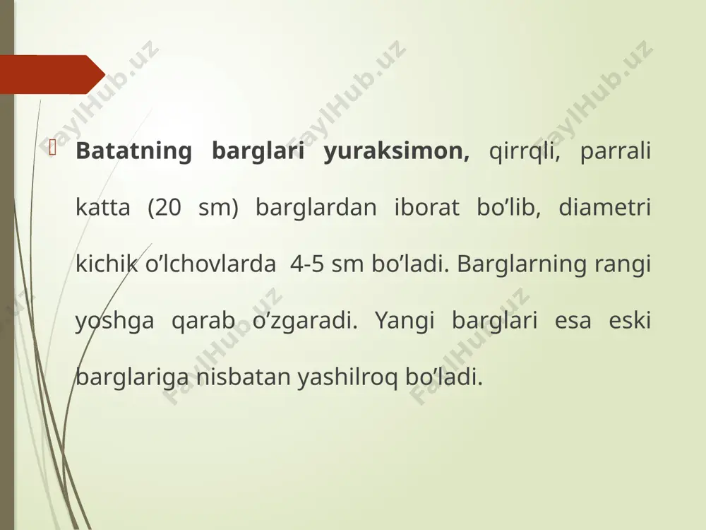 i keskin pasayishga olib keladi (ballashev n. n.1946). ekinni parvarish qilish. sug’orish. sug’orishdan (yoki kuchli yomg’irdan) keyn batat kuchli o’sib, ko’k massani shakllantiradi. poyalarning kuchli o’sib ketmasligini ta’minlash uchun chekanka (yuqori qismini kesish ) qilinadi (minkevich i. a. 1955). batatni sug’orish me’yori katta bo’lmasligi kerak. oz-ozdan tez-tez sug’orilib turilsa yaxshi bo’ladi (balashev n.n.1946). uning aytishicha, batatni parvarish qilish qator oralarini yumshatish, chopish va sug’orishdan iborat. ekiladigan 1,0-1,5 oy o’tgach, birinchi marta chopib, o’toq qilinadi. keyinchalik batat palagi rivojlangach, soyalab begona o’tlarni kesib qo’yadi. yer osti suvlari chuqur joylashgan uchastkalarda batatni har 10-12 kun davomida sug’orib turish kerak. o’sub davrida jami bo’lib 14-16 martagacha suv beriladi. yer osti suvlari yuza joylashgan uchastkalarda sug’orish soni 7-8 martagacha kamaytiriladi. batat kartoshka tugish (iyul, avgust, sentyabr) davrida tez-tez sug’orilib turiladi (mavlodova r.f. medjidov s.m. 2003). qator oralariga ishlov berish va o’g’itlash. i.a.minkevich (1978) bergan axboratlariga ko’ra, batatni yetishtirishda qator oralariga ishlov berish muhim vazifalardan …