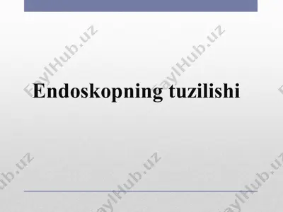 endoskopning tuzilishi — PPTX