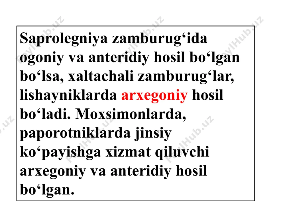 lib ular quyidagilardan iborat 1. epiderma. 2. sub epiderma. 3. o‘rta qavat. 4. tapetum. sub epiderma qavati changdon yetilgandan keyin fibroz qavatini hosil qiladi. fibroz qavatini doimiy o‘lib borishi changdonni ochilishiga olib keladi. changdonlarda yetilgan chang gulning ichiga (introz) va uning sirtiga (ekstroz) tushishi mumkin. chang ipining tuzilishi, miqdori va uzun qisqaligi muhim sistematik belgi hisoblanadi. кo‘pchilik o‘simliklarda chang ipi oddiy shoxlanmagan bo‘ladi. piyoz, kanakunjit, kayin o‘simligida changchi ipi shoxlangan bo‘ladi. urug‘chi va uning tuzilishi. urug‘chilar yig‘indisi ginisey deyiladi. ular 1 ta yoki bir necha meva bargchaning qo‘shilishidan hosil bo‘ladi. masalan: olxo‘ri, shaftolida 1 ta, karamda 2 ta, shoyigul, piyozda 3 ta, olma, nokda 5 ta, lolaqizg‘aldoqda 9 - 11 ta meva bargchaning qo‘shilishdan hosil bo‘ladi. urug‘chi quyidagi qismlardan tuzilgan bo‘ladi. tumshiqcha. 2. ustuncha. 3. tuguncha. tumshiqchaning vazifasi changni qabul qilishga xizmat qilishdir. buning uchun unda ishlab chiqilgan suyuqlik yordam beradi.ustuncha tuguncha va tumshuqchani bir biriga bog‘lab turadi. ustunchalar soni …