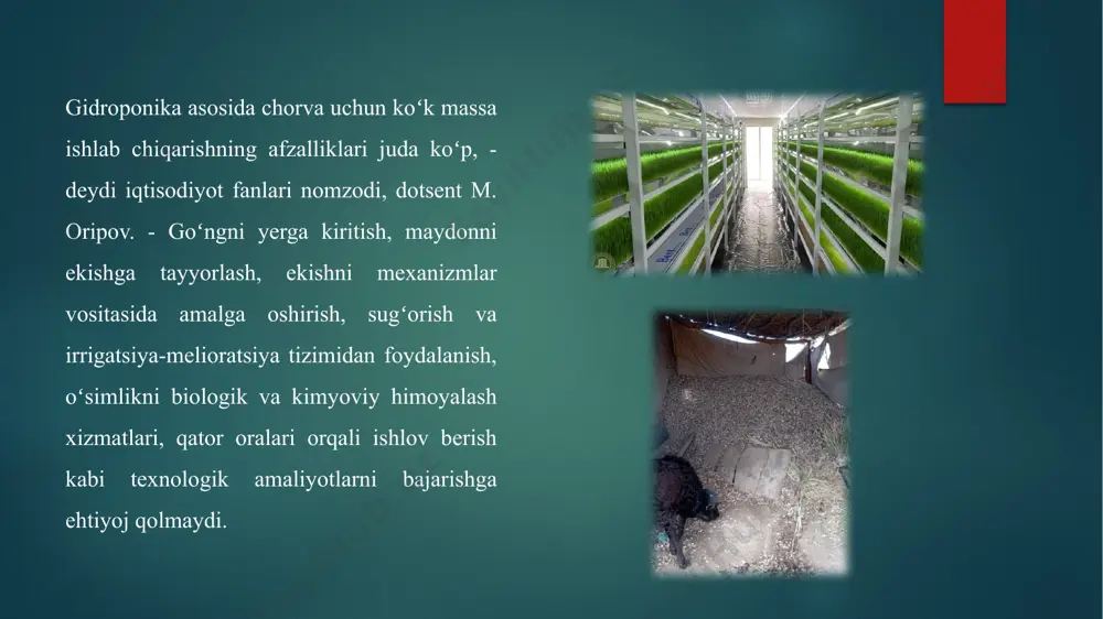 b qoladi va uzluksiz ravishda mahsulot yetishtirish imkoniyati yaratiladi respublikamizning qishloq xujaligi, xususan dehqonchilik bilan chorvachilikni uzviy rivojlantirishda, chorva mollarini mahsuldorligini oshirishda, ular ratsionini shirali, yuqori oqsilli oziqa bilan ta’minlash uchun veterinariya bakalavr darajasidagi talabalarini dehqonchilik va almashlab ekish va tabiiy pichanzorlarni tug’ri tashkil etish, oziqa ekinlari oziqa qimmatliligi va tuyimliligiga yetishtirish hamda yil davomida muttasil etkazib berish bilan bog’liq tadbirlar bilan tanishtirish fanning asosiy maqsadini tashkil etadi. bonitirovka qilishdan oldin xo‘jalikda ayrim fermalar va podalar bo‘yicha uni o‘tkazish kalendar plani tuziladi, shuningdek qoramollarning mahsuldorligi, naslchilik ishlarida ulardan qanday foydalanilayotganligi, ularning sog‘ligi va hokazolarga doir hamma materiallar tayyorlanadi. dastavval sigirlarning qancha sut berayotgani, suti tarkibidagi yog‘ miqdori hisoblab chiqiladi, ularga qancha yem-xashak berilganligi va hayvonlarni yaxshiroq boqilgan davrdagi mahsuldorligi aniqlanadi. qoramollarning veterinariya parvarishi va shaxsiy nomerlarini tekshirish bonitirovka qilishdan oldin tugallangan bo‘lishi kerak. lozim bo‘lsa yo‘qolgan yoki noaniq nomerlar tiklanadi. bir vaqtning o‘zida hayvonlar tarozida tortiladi va bonitirovka qilish vedemostlariga …